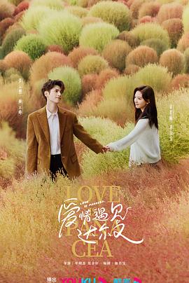 深圳网站的优化在哪里